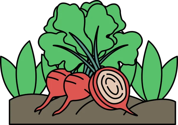 İçinde havuç ve pancar olan bir sebze bahçesi çizimi. Havuçlar ön planda, pancarlar arka planda.