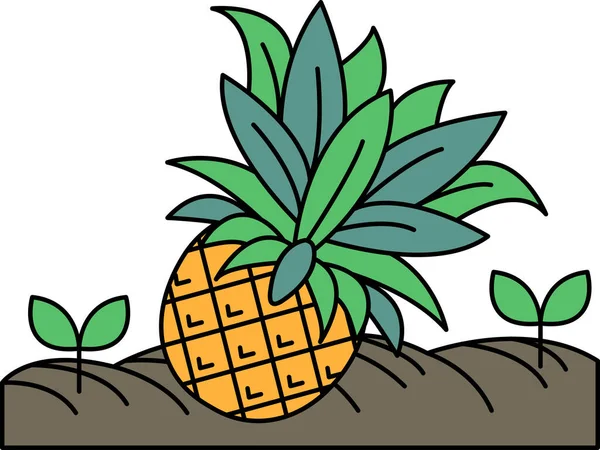 Bir ananas yapraklı yeşil bir bitkinin üzerindedir. Ananas en tepeden kesilir. Bitki bir yamaçta.