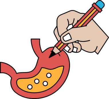 Bir el kalemle bir mide çiziyor. Mide kırmızı ve sarıdır.