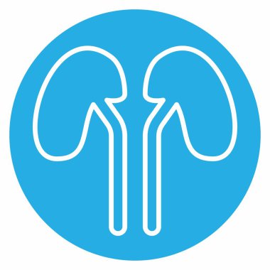 Böbreğin Simge Vektörü - Mavi Gözler Biçimi - Basit illüstrasyon, Düzenlenebilir vuruş, Tasarım şablonu vektörü, baskılar, posterler, reklamlar, duyurular, bilgi grafikleri vs..