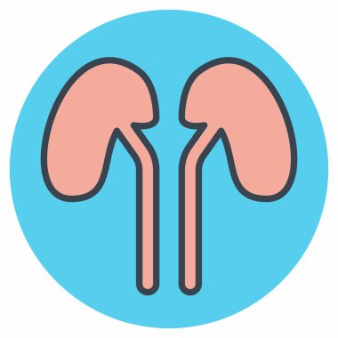 Böbreğin Simge Vektörü - Renk Eşi Biçimi - Basit illüstrasyon, Düzenlenebilir vuruş, Tasarım şablonu vektörü, baskılar, posterler, reklamlar, duyurular, bilgi grafikleri vs..