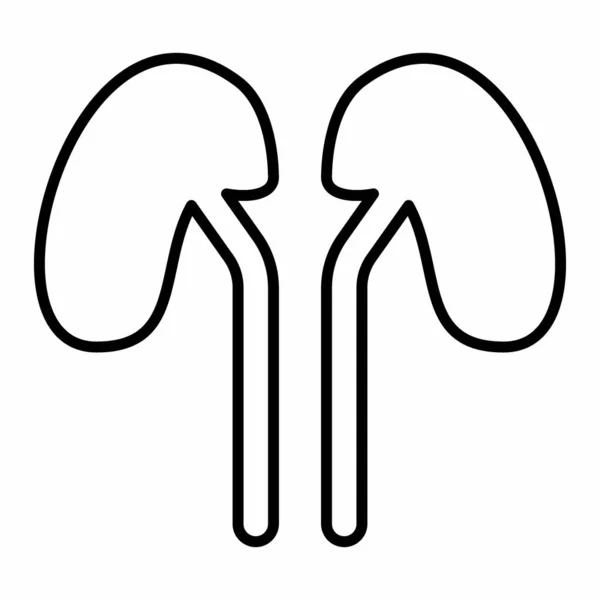 Icon Vector Kidney Line Style Простая Иллюстрация Редактируемый Штрих Вектор — стоковый вектор
