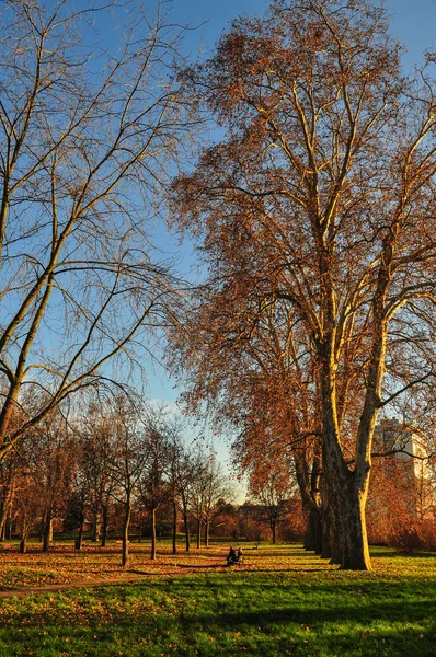 Herfstkleuren — Stockfoto