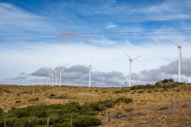 Yükselen rüzgar türbinleriyle bezenmiş yuvarlanan tepeler boyunca hafif bir esinti esiyor. Geniş bulutlara karşı kuruluyor. Bu barışçıl manzara doğanın enerjiyle uyumunu gösteriyor..