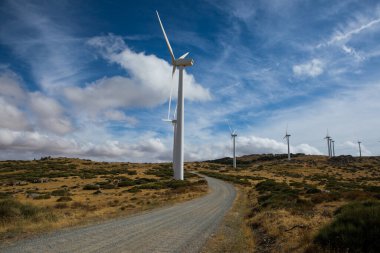 Uzun rüzgar türbinleri yuvarlanan tepelerle çevrili güzel bir manzarada dururlar. Yol, parlak mavi gökyüzünün ve kabarık beyaz bulutların altında gezinerek yenilenebilir enerji sergiliyor..