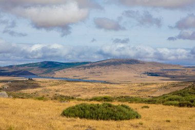 Bereketli yeşillik, kumlu bir sahil üzerinde gölgelenen ağaçlarla sakin bir göl oluşturur. Durgun su berrak bir gökyüzünü yansıtır, sakin bir atmosfer yaratır..