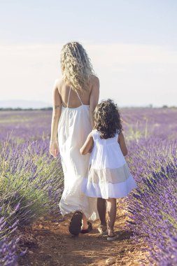 Genç anne ve kızı güzel bir lavanta tarlasında el ele geziyorlar. Yüksek kalite fotoğraf