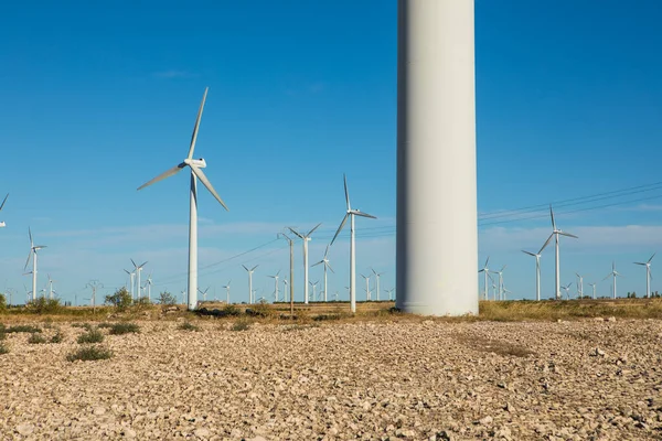 Rüzgâr türbinleri kurak bir bölgede rüzgarda zarif bir şekilde dönerek dimdik ayakta dururlar. Yukarıdaki açık mavi gökyüzü sürdürülebilir enerji üretimini arttırıyor, temiz enerjide yenilik sergiliyor.