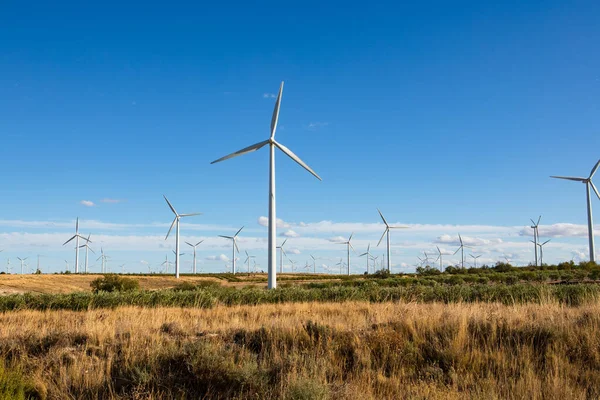 Uzun rüzgar türbinleri açık mavi bir gökyüzünün altında geniş bir çöl arazisine dağılmış durumda. Bu sahne yenilenebilir enerji ve sürdürülebilirliğin önemini vurgular..