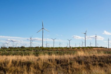 Uzun rüzgar türbinleri açık mavi bir gökyüzünün altında geniş bir çöl arazisine dağılmış durumda. Bu sahne yenilenebilir enerji ve sürdürülebilirliğin önemini vurgular..