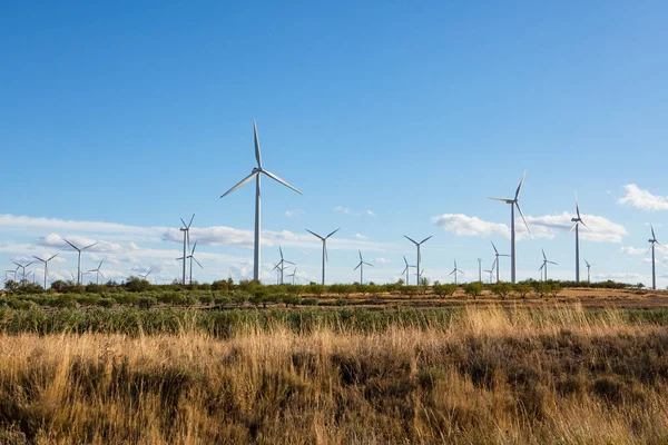 Uzun rüzgar türbinleri açık mavi bir gökyüzünün altında geniş bir çöl arazisine dağılmış durumda. Bu sahne yenilenebilir enerji ve sürdürülebilirliğin önemini vurgular..