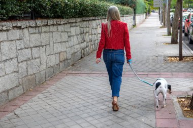 Kırmızı kazaklı bir kadın temiz, asfalt kaldırım boyunca yürür, küçük köpeğine bağlı bir tasma tutar. Yol boyunca yemyeşil çalılar var ve yakınlarda arabalar park halinde..
