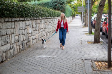 Bir kadın köpeğiyle birlikte yemyeşil ve renkli ağaçlarla çevrili büyüleyici bir kaldırımda neşeyle geziniyor. Sokaklar huzurlu, sonbaharda kent hayatının özünü sergiliyorlar..
