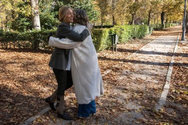 Sonbahar yapraklarıyla dolu huzurlu bir parkta, iki arkadaş sevinçle kucaklaşır, gülümsemeleri sıcaklık ve mutluluk saçar. Batan güneş etraflarında altın bir parıltı yaratır..