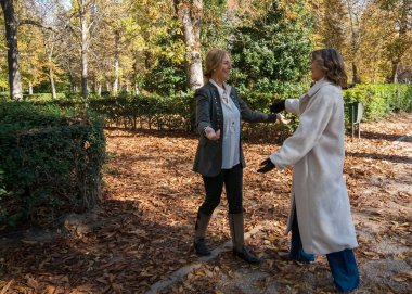 Sonbahar boyunca güzel bir parkta, iki arkadaş renkli yapraklar ve ağaçlarla çevrili, neşeyle karşılaşıp kucaklaşır. Sıcak atmosfer onların mutluluğunu ve dostluğunu yansıtıyor..