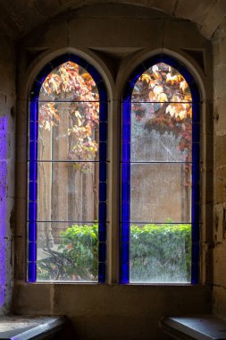 Yumuşak ışık, kavisli cam pencerelerden süzülerek, tarihi bir taş yapının dışındaki renkli sonbahar yapraklarının huzurlu manzarasını aydınlatarak, sükunet ve zamansız güzellik hissi uyandırır..