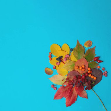 Sonbahar doğa konsepti. Renkli yapraklar ve mavi arka planda düşen tohumlar. Kopyalama alanı ile en az canlı bileşim.