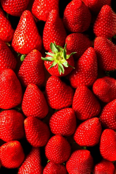 Groupe Fond Fraises Naturelles Fruits — Photo