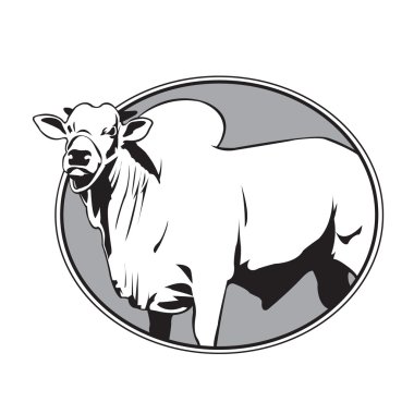 Boğa zebu vintage logo