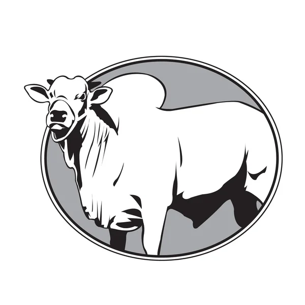 Logo vintage Bull zebu — Vettoriale Stock