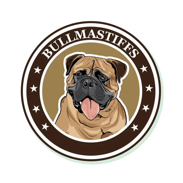 Retrato vectorial de la raza canina Bullmastiff — Vector de stock
