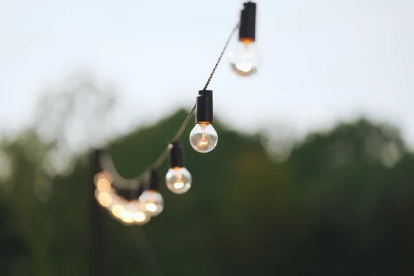 Torse of filament lamp in evening park