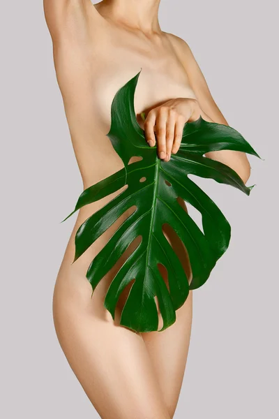 Γυμνό γυναικείο σώμα καλυμμένο με φύλλα Φοινικιά — Φωτογραφία Αρχείου