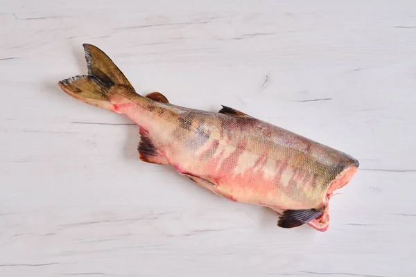 Gefrorener Roher Kopfloser Chum Fisch — Stockfoto