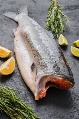 Siyah arka planda taze donmuş başsız loach.