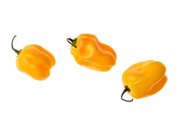 Beyaz arka planda taze habanero biberi izole edilmiş.