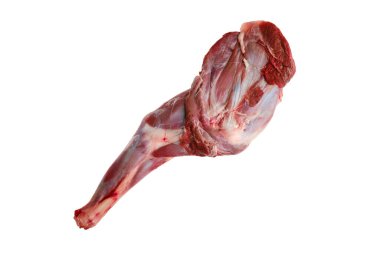 Çiğ dişi omuz boşluğu beyaza izole edilmiş.