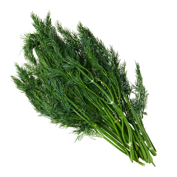 Bunch Fresh Dill Isolated White Backgroind — 스톡 사진