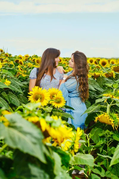 Twee Vrouwelijke Vrienden Leunen Elkaar Zonnebloemveld — Stockfoto