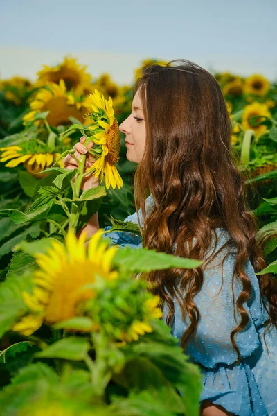 Wanita Bersandar Pada Bunga Matahari Menyentuh Batang Dan Mencium Aroma — Stok Foto