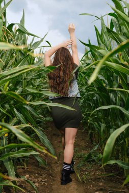 Genç bir kadının mısır sapları arasında yürüdüğünü, ellerini havaya kaldırdığını görüyorum.