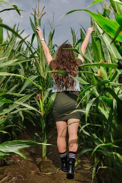 Young Woman Walking Corn Stems Raising Hands Sky — Stok Foto