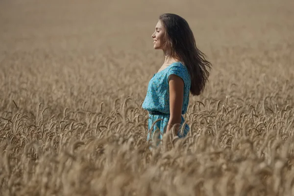 Hübsches Mädchen steht auf dem Feld — Stockfoto