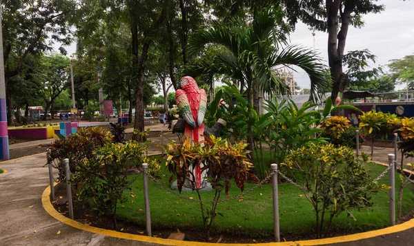 公園道の中央には 美しい植生を持つGuacamaya 像があります — ストック写真