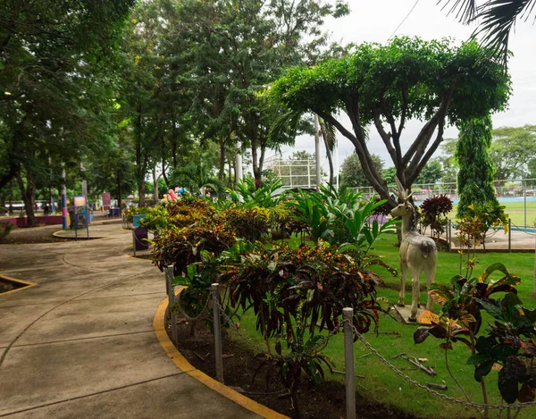 Hermoso Parque Con Senderos Entre Plantas Que Adornan Izquierda Imagen — Foto de Stock