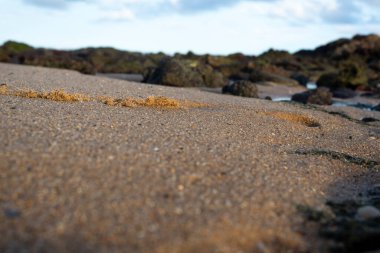 Plaj kayaları, su birikintisi şeklinde sırılsıklam olmuş. Güçlü ve parlak güneşin olduğu bir günde mavi gökyüzünün yansımalarını yapıyorlar..