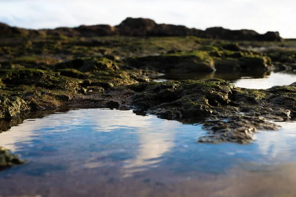 Batu Pantai Benar Benar Basah Dengan Air Dalam Bentuk Genangan — Stok Foto