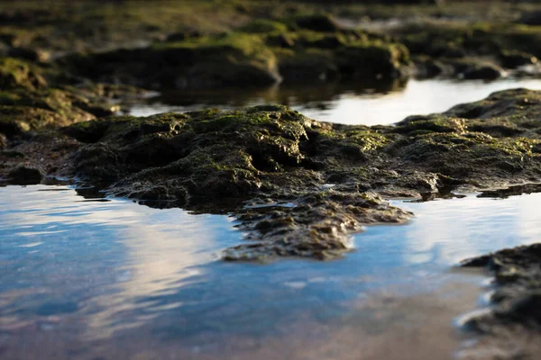Batu Pantai Benar Benar Basah Dengan Air Dalam Bentuk Genangan — Stok Foto