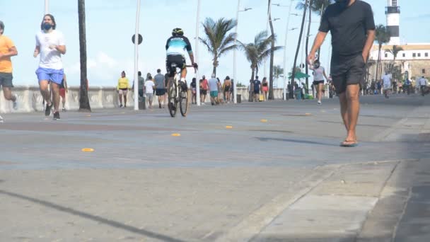 People Exercising Edge Farol Barra Beach Salvador Bahia Brazil — Stock Video