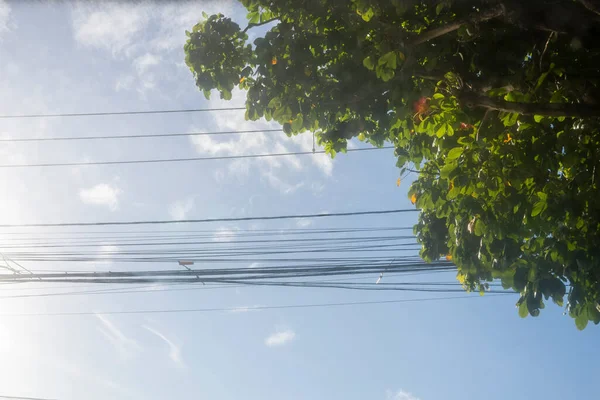 Céu Azul Brilhante Com Nuvens Folhas Uma Árvore Rio Vermelho — Fotografia de Stock