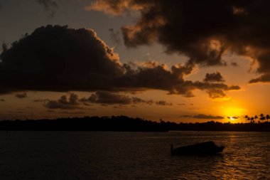Canlı doğa aromalı, dramatik, sarımsı bir gün batımı. Camacari, Bahia, Brezilya.