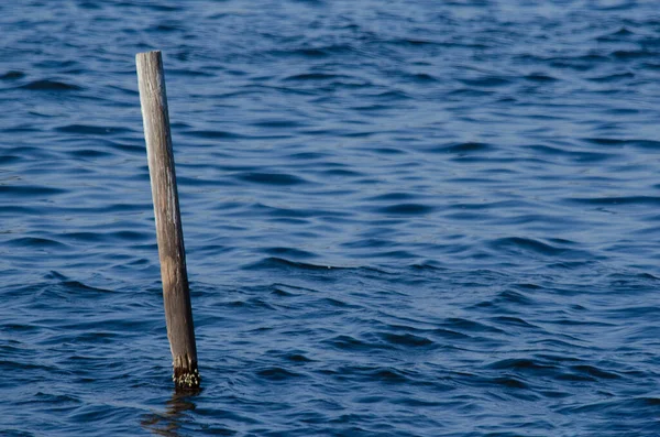 Kayu Untuk Tambatan Kecil Kapal Nelayan Yang Berlabuh Pantai Ribeira — Stok Foto