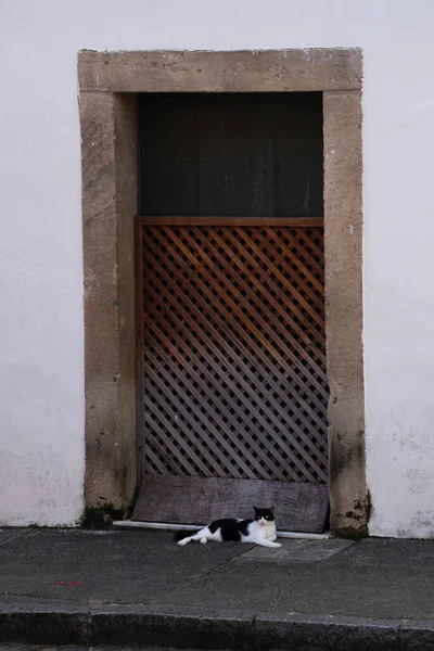 Detalhes Porta Antiga Cores Com Sombra Ferro Cimento Madeira Pelourinho — Fotografia de Stock