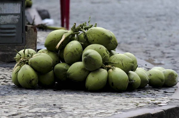 Groene Kokosnoten Koop Het Historische Centrum Van Salvador Bahia Brazilië — Stockfoto