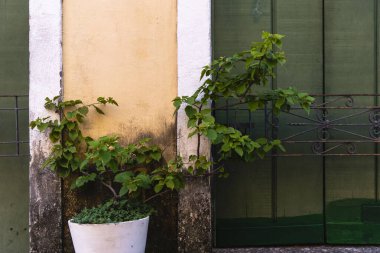 Antika kapı detayları gölge, demir, çimento, ahşap. Pelourinho, Salvador, Bahia, Brezilya.