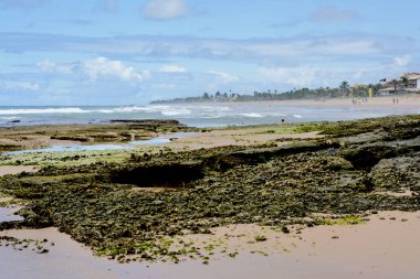 Güneşli bir günde Arembepe sahilinin kum suyu ve taşları. Camacari, Bahia, Brezilya.